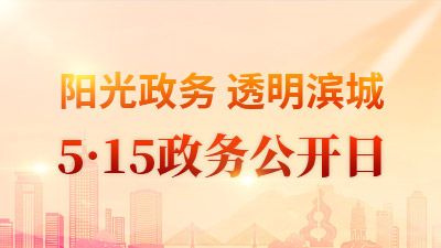 5.15政務(wù)公開日